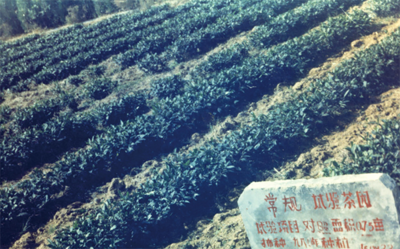 鳌福一家亲